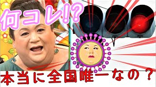 【マツコ驚愕】ご当地レア信号機！本当に全国唯一なの？勝手に補足解説〜マツコの知らない世界より〜