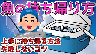 【魚の持ち帰り方】どう持ち帰る？知っておきたい３つのポイント