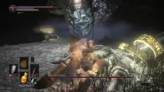 Dark souls 3 High Lord Wolnir boss fight 7