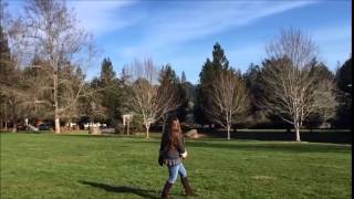 The Release of Red-tailed Hawk RTHA 2746