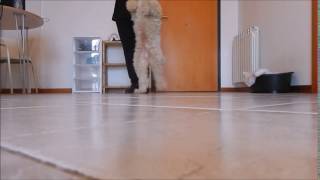 tricks:camminare in piedi indietro intorno