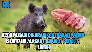 Kenapa Babi Diharamkan makan dalam Islam? Ini Alasan menurut peneliti ilmiah