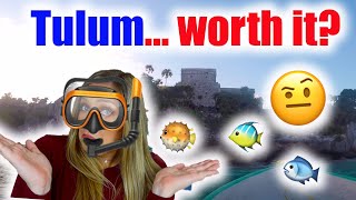 Snorkeling in Tulum... WORTH IT?!?! 🤔💰