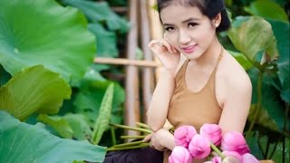 Beautiful Girl Take Lotus To Sell in The Market - Daily Activity Of Khmer Farmer