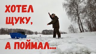 Поехал половить щуку на жерлицы, а наловил окуня на балансир и мормышку! Мороз и отличный клев!