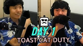 Disguised Toast & Cat Siri Cutest moments today | 2 Cats 1 screen