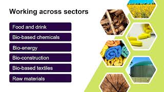 The New Frontiers for Biogas Processes and Technology