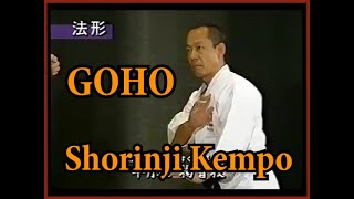 Hard method in Martial Arts. Goho Shorinji Kempo. Sensei Arai Tsunehiro. 少林寺拳法. 武道少林寺拳法の講義