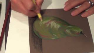 Color Pencil: drawing a Pear