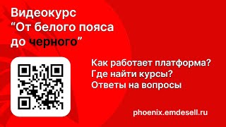 Видеокурс "От белого пояса до черного". Обзор платформы. Ответы на вопросы.