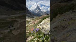 Swiss vibes 🇨🇭⛰️ |  #switzerland #swissalps #zermatt