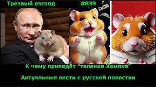 Смысл "тапания" хомяка в Hamster Kombat .  Непридуманные истории