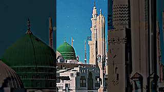 madina mashallah ❤️❤️ #status status #madina #short #viral #video #shortvideo