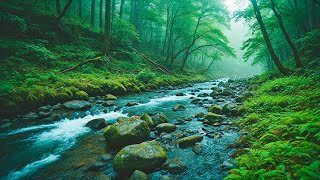 Relaxing Music With Waterfall Sounds in forest, Relieves stress, Anxiety and Depression Music