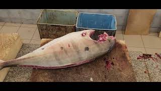 Trevally Cutting with Soft Hand|| Skills of Fish Cutting with Soft Hand|| Arabian Speedy Fish Fillet