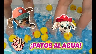 ¿Qué está pasando en la bañera? Juguetes de la Patrulla Canina