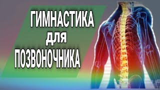 Утренняя гимнастика для позвоночника