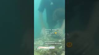 scuba diving bali/scuba diving pemula #shorts