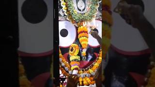 Jagannath Puri dham sandhya aarti 🌸🌸 || #shorts #status #jagannath #krishna #viral