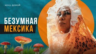 Мексика, которая сведёт с ума: свадьба с крокодилом, мать грибов и ЛГБТ-индейцы