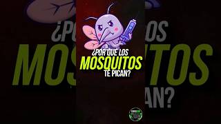 ¿Por qué los MOSQUITOS TE PICAN? 🦟. #animales #insectos #mosquito #curiosidades  #mosquitos