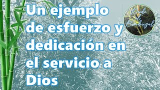 Un ejemplo de esfuerzo y dedicación en el servicio a Dios (2 Tesalonicenses 3:8) 20230725