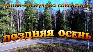 Теплая поздняя осень и Душевная музыка! Красиво играет САКСОФОН 🎷