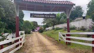 PESQUEIRO PÉ DA SERRA / SERRADO DAS CINZAS,MUNICÍPIO DE ARAPOTI-PR