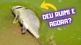 ⚠️ COMO LIVRAR O PEIXE DA MORTE NO INVERNO?