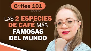 Coffee 101 Cap 2 | Las especies de café más famosas del mundo ☕️