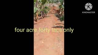 #landforsaleinkollimalai #farmlandforsale #agriculturalland #lowbudget cont 8072660564