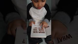 Tot reads Brown Bear Brown Bear book