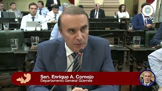 SENADOR ENRIQUE CORNEJO - PROYECTOS