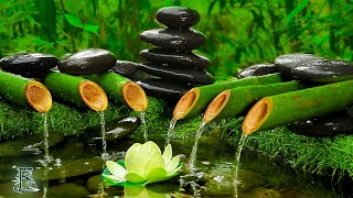 Relaxing Music Relieves Stress, Bamboo Water Fountain, Peaceful Piano Music, Deep Sleep Music, Calm