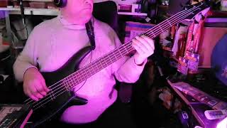 Les Infidèles - Des Larmes Des Maux (Didier Cover Bass)