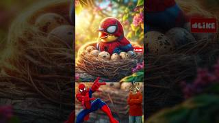 Superheroes Bird Hatching Their Eggs