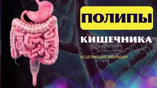 КИШЕЧНИК🔆ИСЦЕЛЯЮЩАЯ МУЗЫКА ДЛЯ ОЗДОРОВЛЕНИЯ ЖКТ