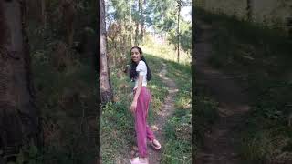 Hiking | Jungle Stays | Chail | Himachal | Sakshi Explores