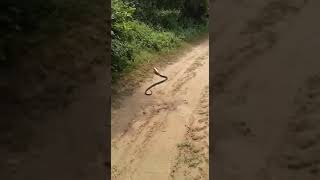 Antigamente a cobra fumava agora ta bebendo tb, lascou tudo   ♧Nestle