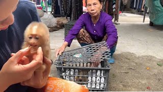 Baby monkey Tina grew so fast in the first six months that her mother was surprised.