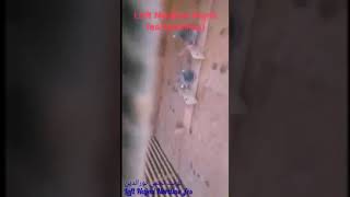 لوفت نجمي نورالدينLoft  Najmi Nordine, fes