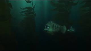 Finding Dory: I don't know, Stan. I just heard someone say hello.