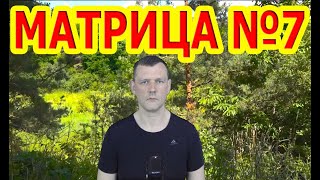 Матрица №7 Исцеление  Всего Организма и Регенерация.