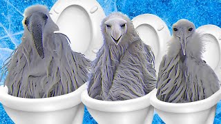 Opium Birds - Skibidi Toilet (COVER)