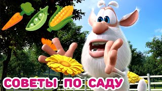 Буба - Советы по садоводству - Мультфильм для детей