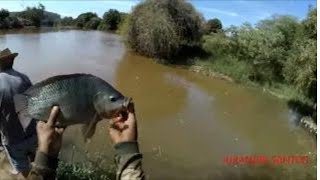 MAIS UM DIA A BEIRA DO RIO:  PESCANDO #TILÁPIA  X CASCUDO