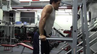 Dips for Shoulders and Triceps size