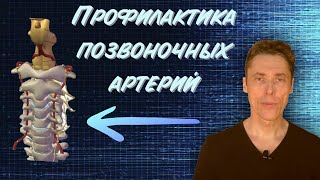 Профилактика позвоночных артерий