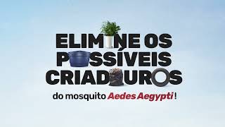 Elimine os possíveis criadouros do mosquito Aedes aegypti na sua casa periodicamente