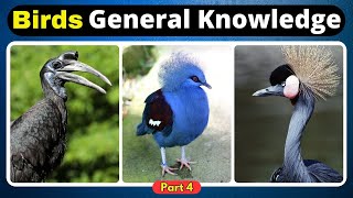 Fly High With Knowledge: Challenge Yourself With These 10 Bird Quiz Questions! | Helian GK Quiz